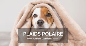 Pourquoi choisir un plaid polaire ?