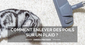 Comment enlever des poils sur un plaid ? Conseils pratiques