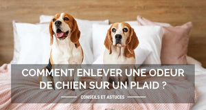 Comment enlever une odeur de chien sur un plaid ?